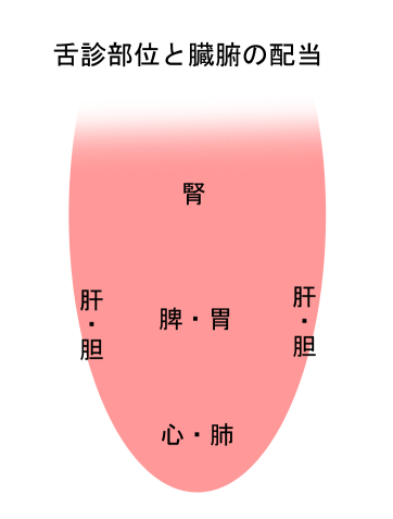 舌の状況